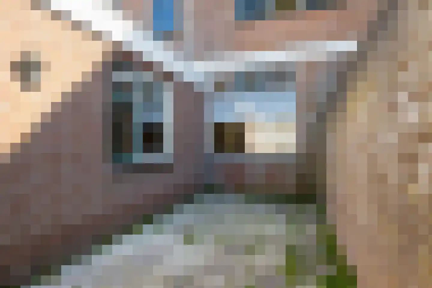 Brakkeveldweg 58 Den Helder thumbnail 29
