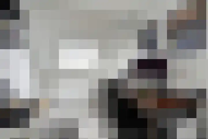 Braksân 100 Leeuwarden thumbnail 32
