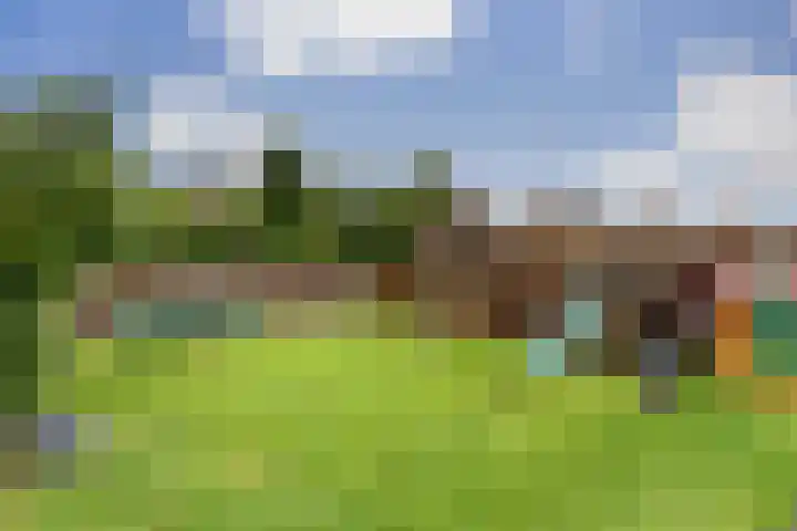 Braksân 100 Leeuwarden thumbnail 34