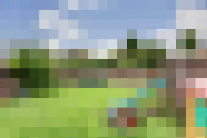 Braksân 100 Leeuwarden thumbnail 35