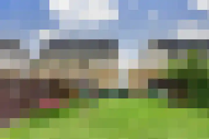Braksân 100 Leeuwarden thumbnail 36