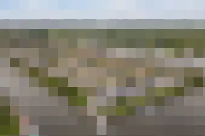 Braksân 112 Leeuwarden thumbnail 38