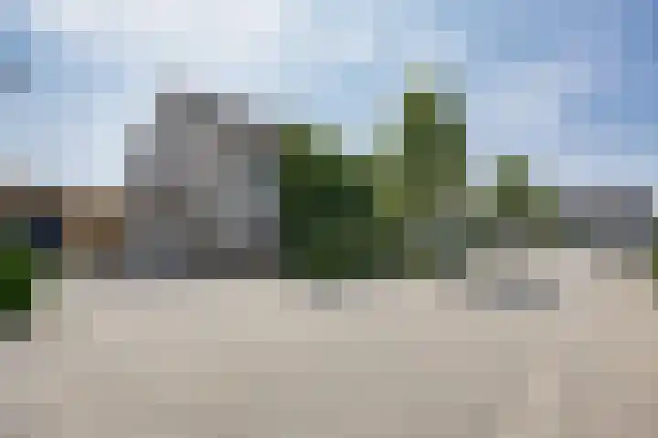 Braksân 153 Leeuwarden thumbnail 5