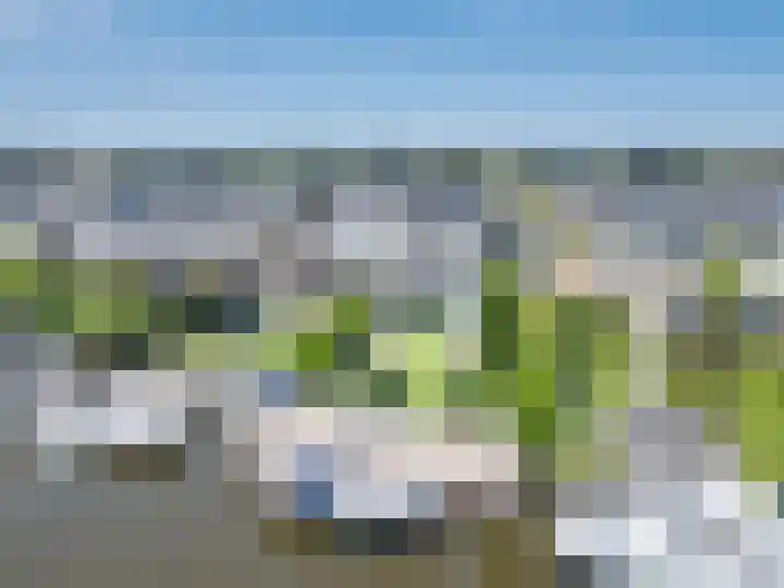 Braksân 153 Leeuwarden thumbnail 62