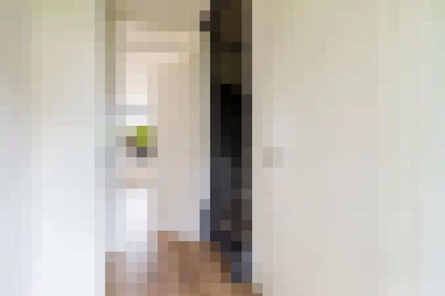 Braksân 154 Leeuwarden thumbnail 9