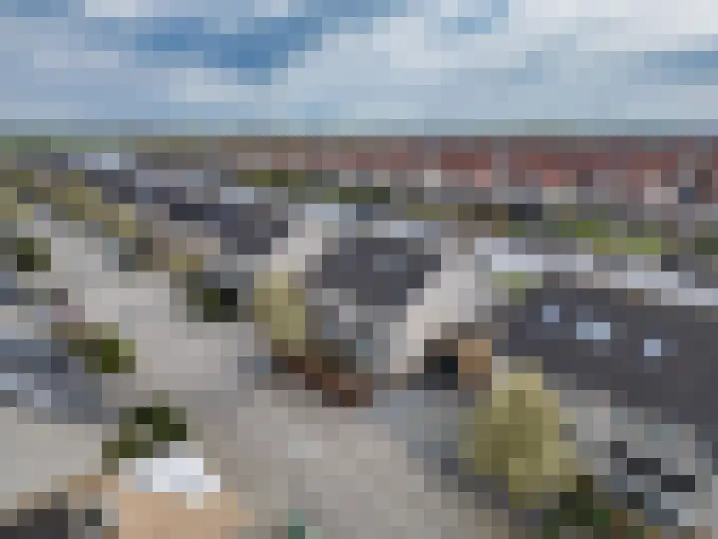 Braksân 155 Leeuwarden thumbnail 64