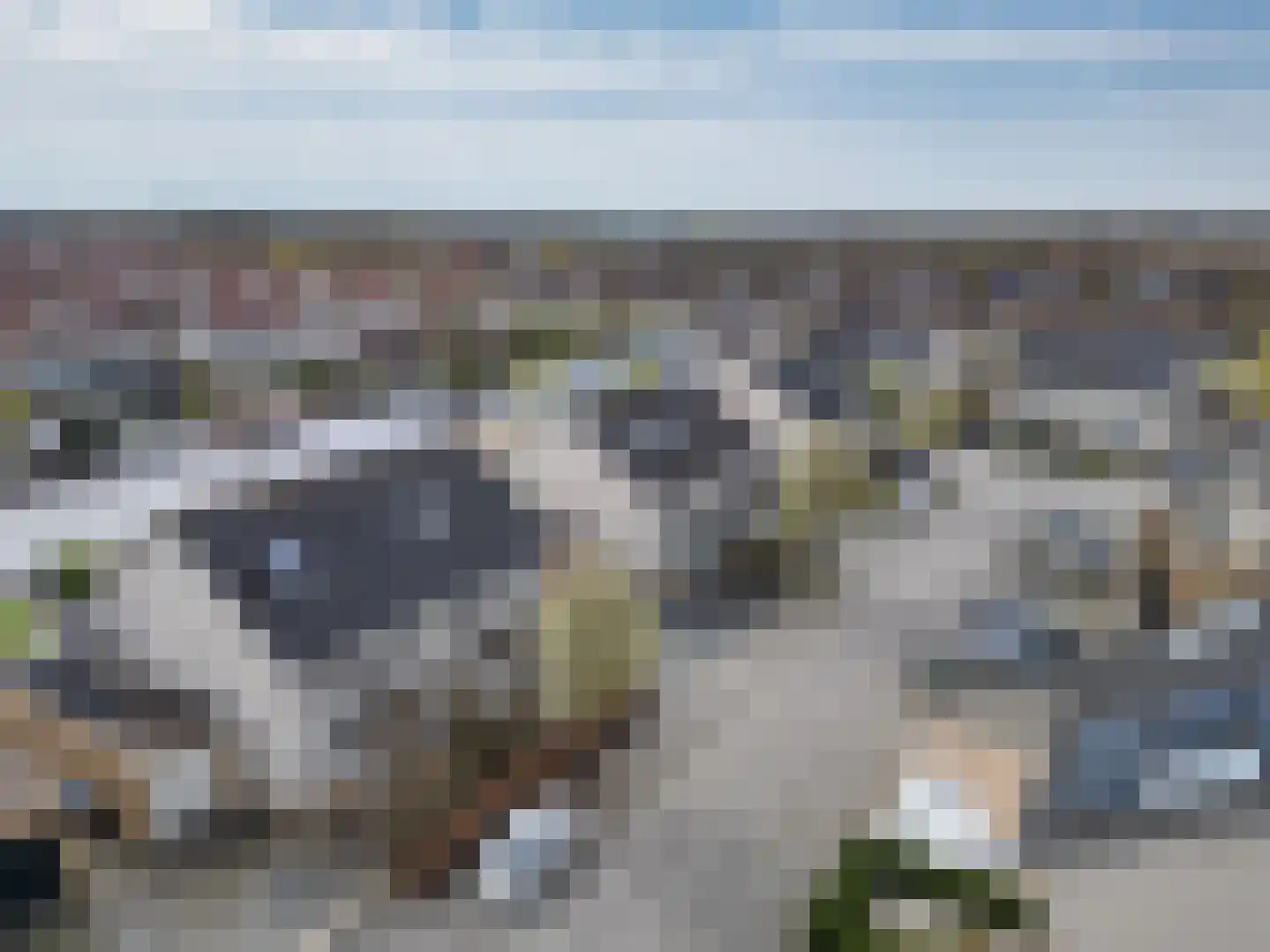 Braksân 155 Leeuwarden thumbnail 66