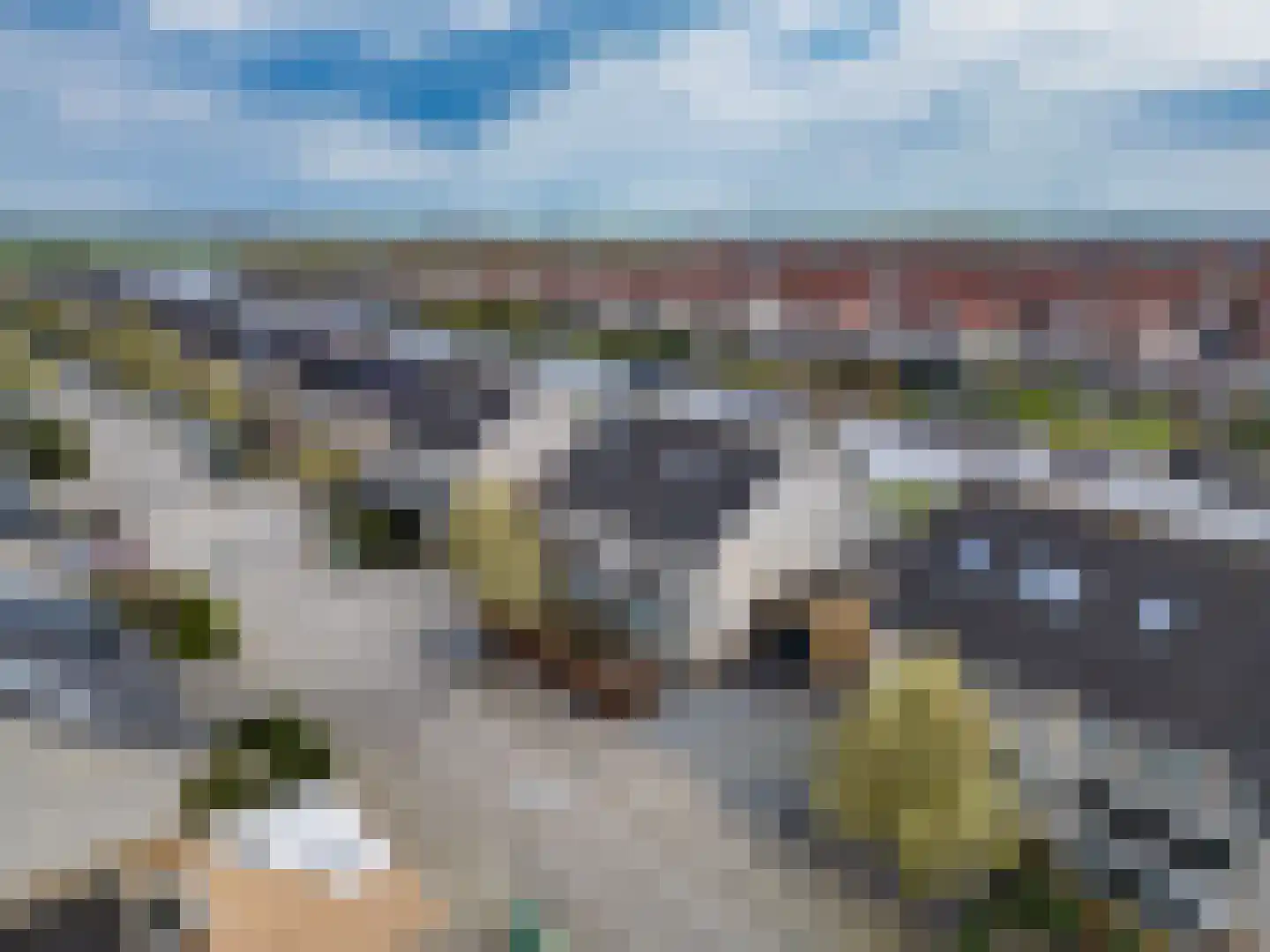 Braksân 155 Leeuwarden thumbnail 71