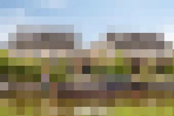 Braksân 171 Leeuwarden thumbnail 21