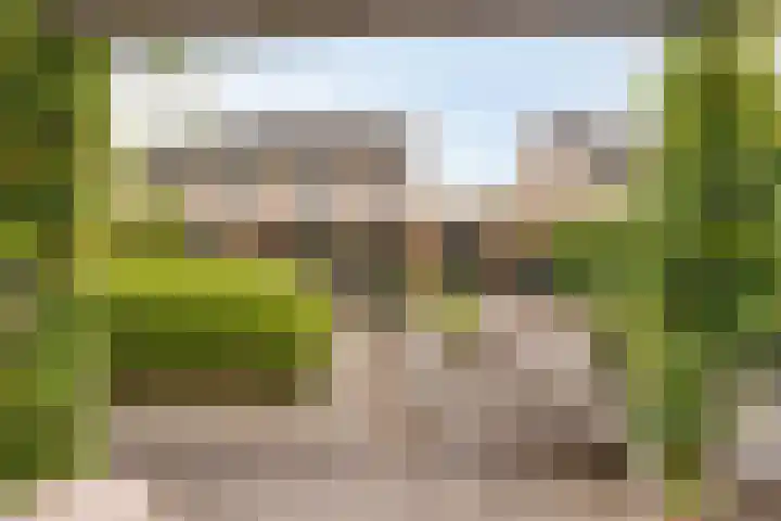 Braksân 171 Leeuwarden thumbnail 5
