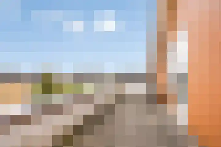 Braksân 32 Leeuwarden thumbnail 24