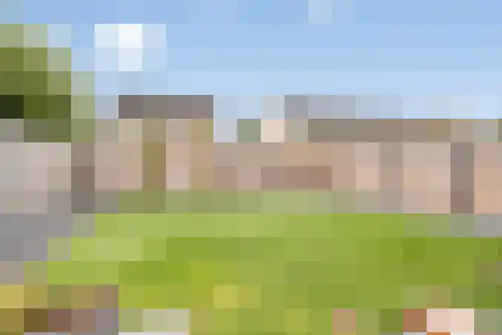 Braksân 32 Leeuwarden thumbnail 26