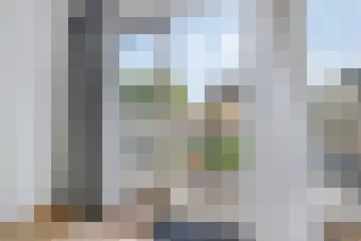 Braksân 32 Leeuwarden thumbnail 6