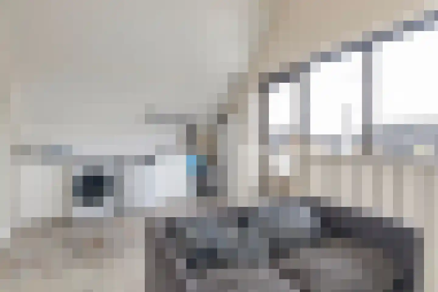 Braksân 33 Leeuwarden thumbnail 47