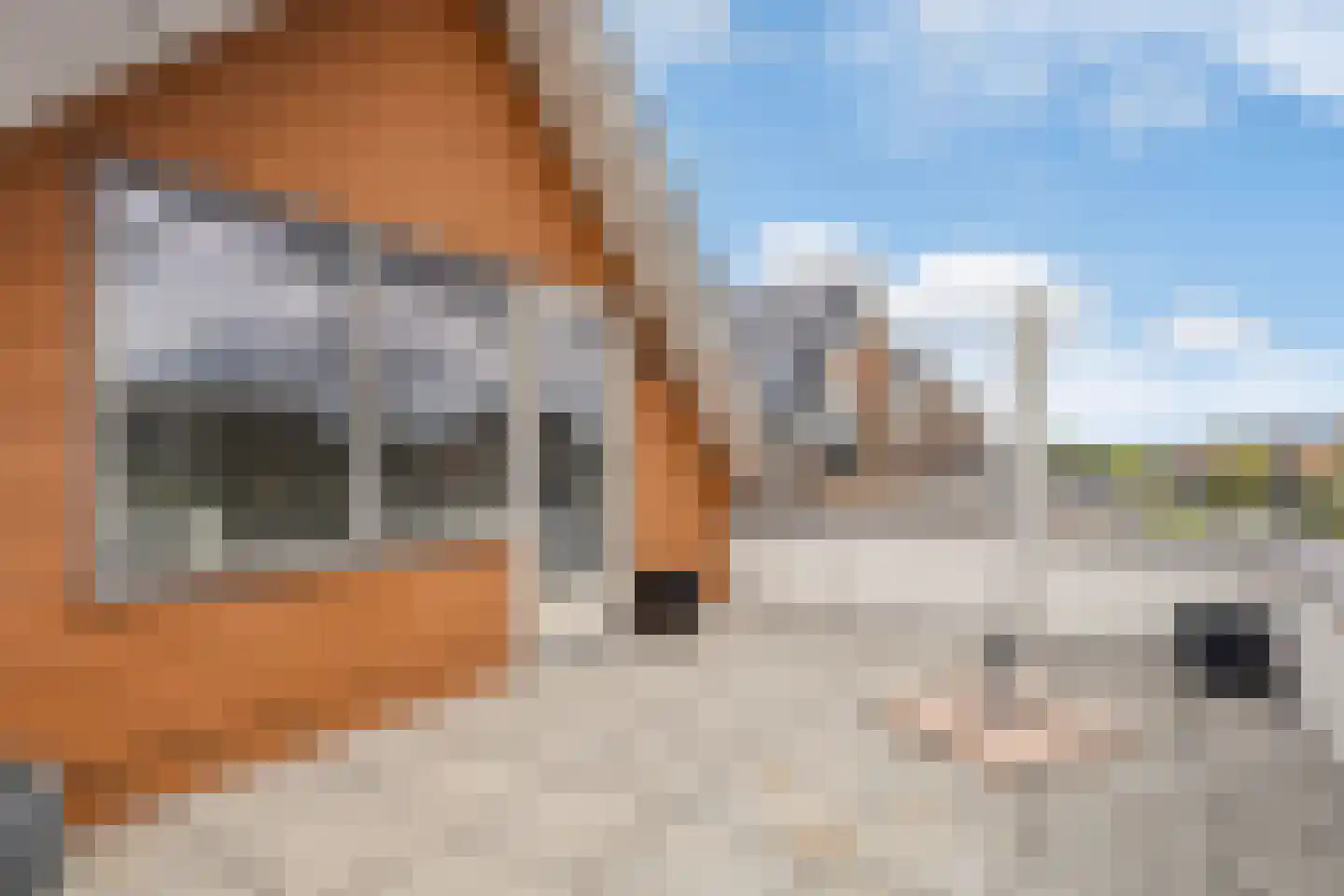 Braksân 33 Leeuwarden thumbnail 53