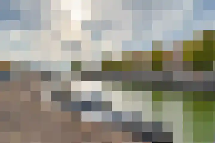 Brakstraat 15 Middelburg thumbnail 28