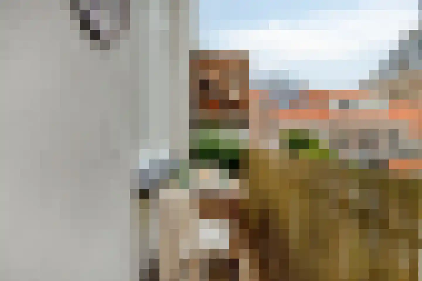 Brakstraat 21 Middelburg thumbnail 26