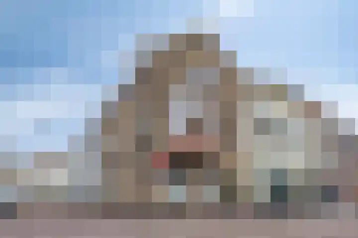 Brakstraat 21 Middelburg thumbnail 37
