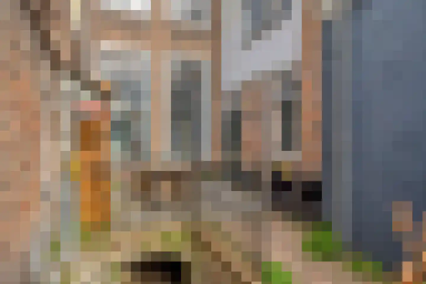 Brakstraat 30 F Middelburg thumbnail 30