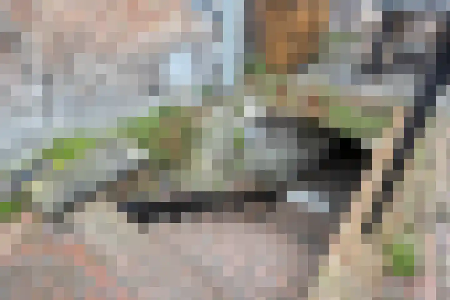 Brakstraat 30 G Middelburg thumbnail 30