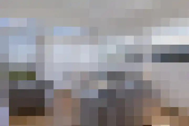 Brakzand 9 Eanjum thumbnail 10