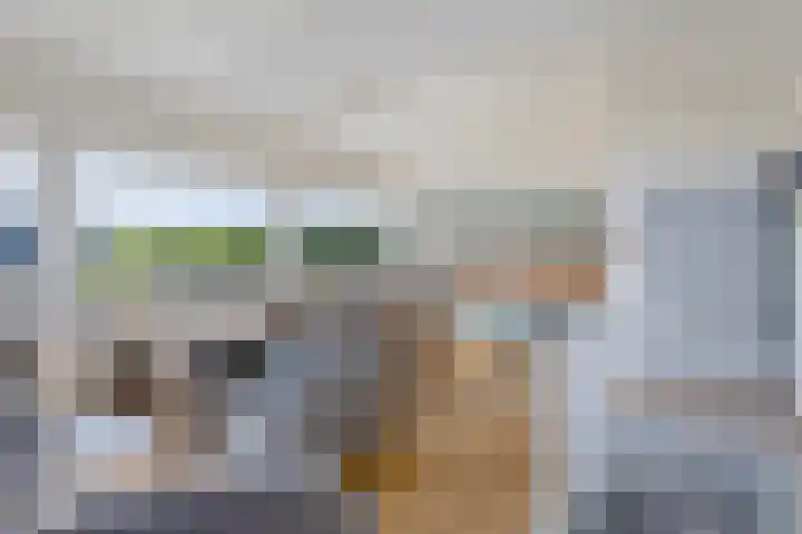 Brakzand 9 Eanjum thumbnail 11