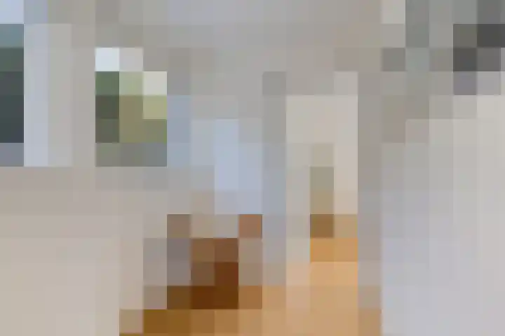 Brakzand 9 Eanjum thumbnail 12