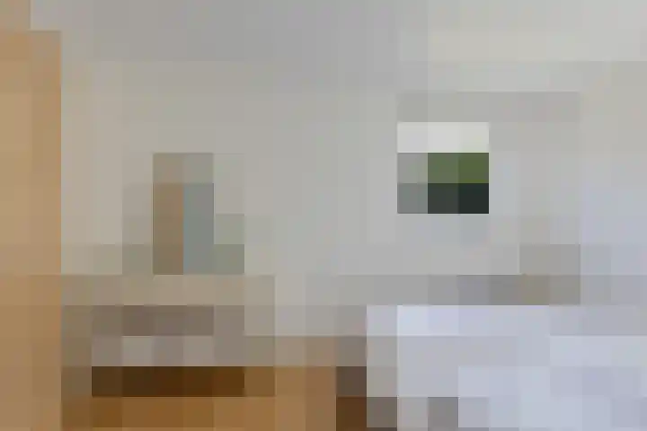 Brakzand 9 Eanjum thumbnail 14