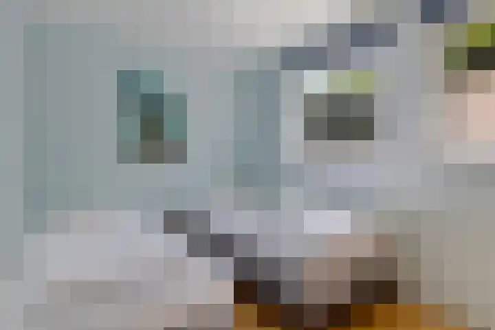 Brakzand 9 Eanjum thumbnail 15