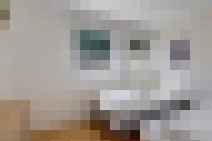 Brakzand 9 Eanjum thumbnail 17