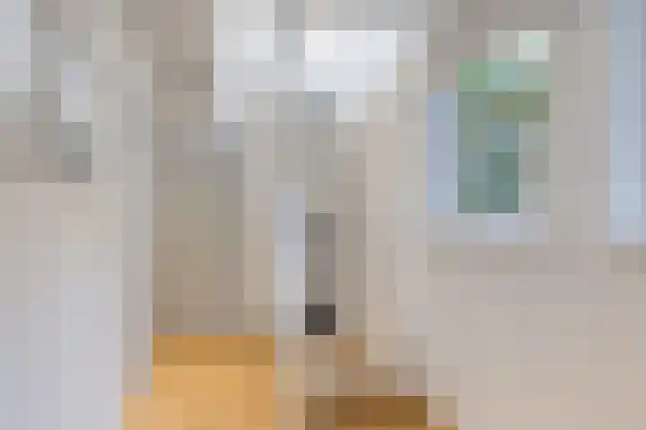 Brakzand 9 Eanjum thumbnail 21