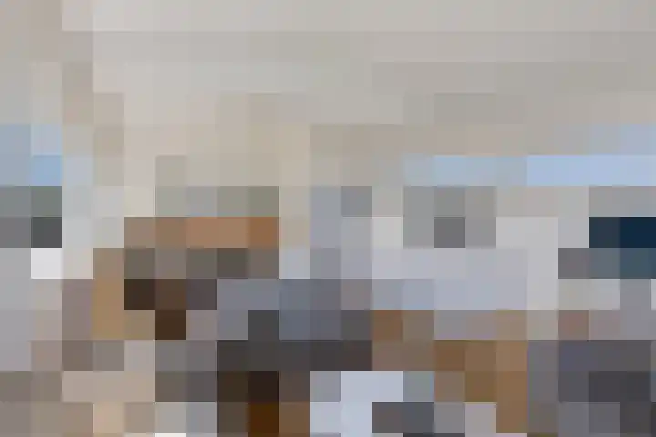 Brakzand 9 Eanjum thumbnail 22