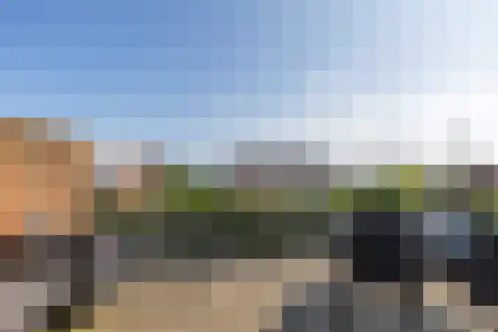 Brakzand 9 Eanjum thumbnail 24