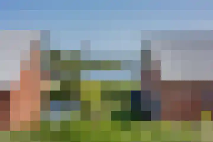 Brakzand 9 Eanjum thumbnail 25
