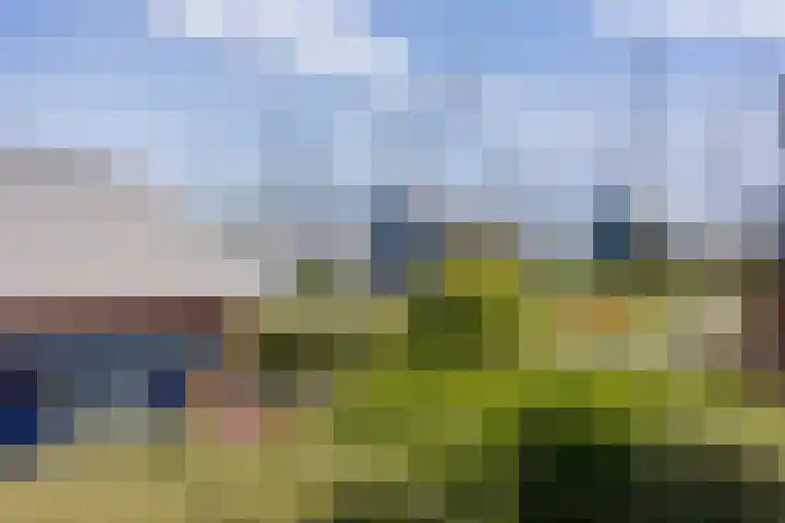 Brakzand 9 Eanjum thumbnail 26