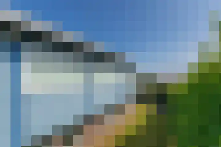 Brakzand 9 Eanjum thumbnail 29