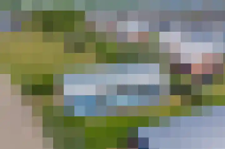 Brakzand 9 Eanjum thumbnail 30