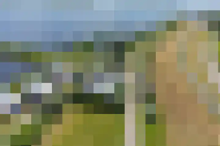 Brakzand 9 Eanjum thumbnail 33