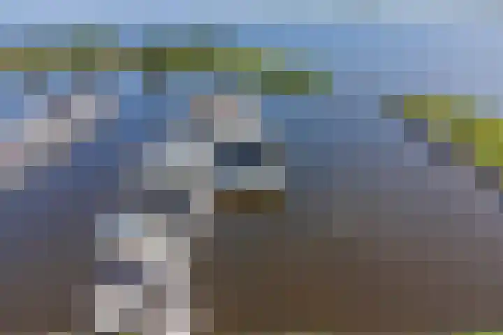 Brakzand 9 Eanjum thumbnail 34