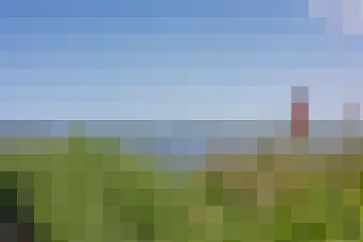Brakzand 9 Eanjum thumbnail 36
