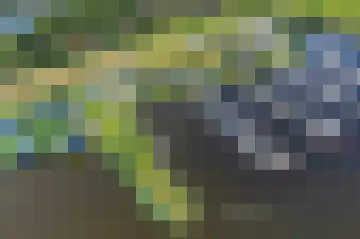 Brakzand 9 Eanjum thumbnail 40