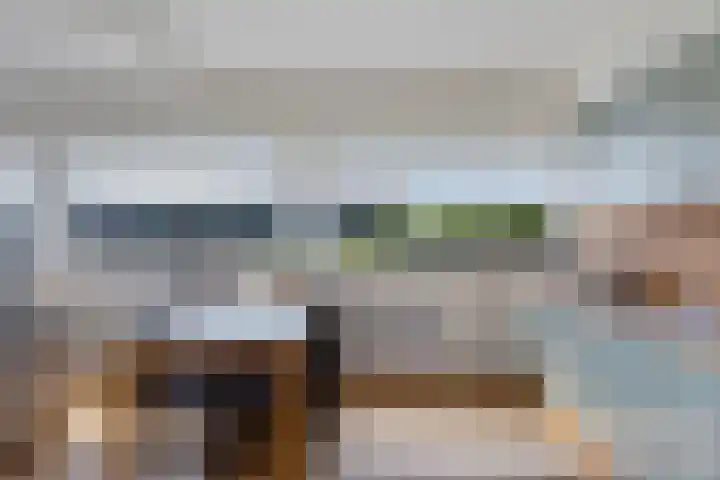 Brakzand 9 Eanjum thumbnail 8