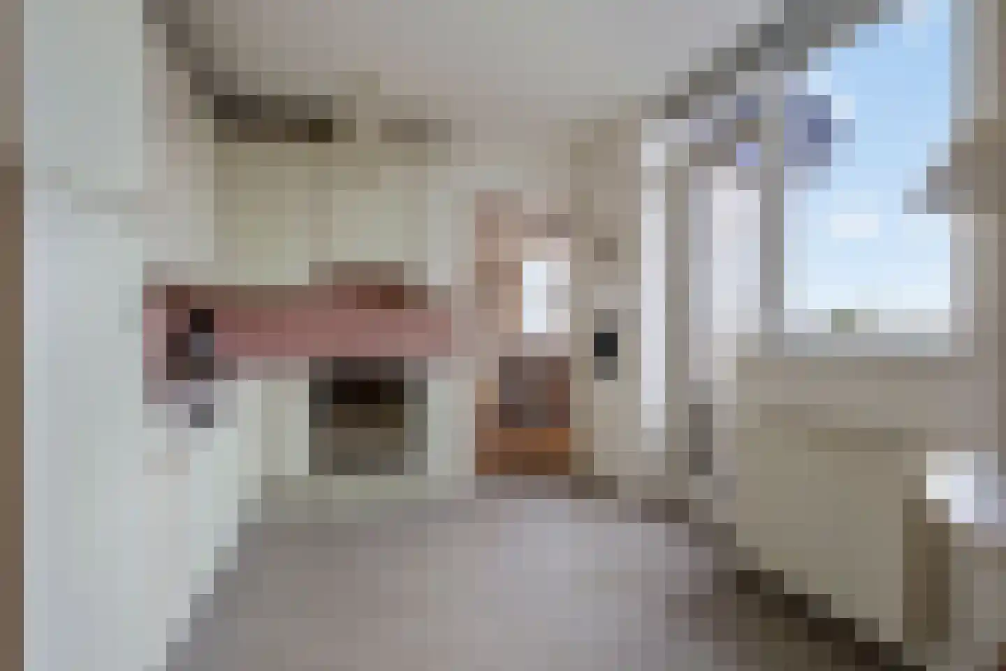 Bram Limburgstraat 136 Voorschoten thumbnail 12