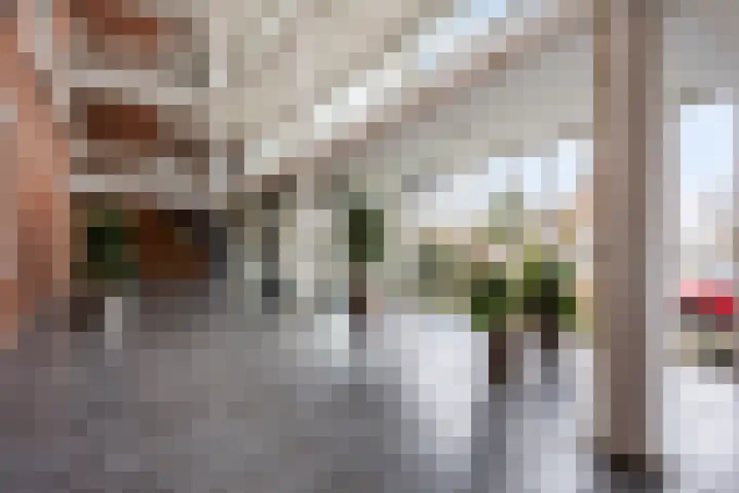 Bram Limburgstraat 136 Voorschoten thumbnail 38