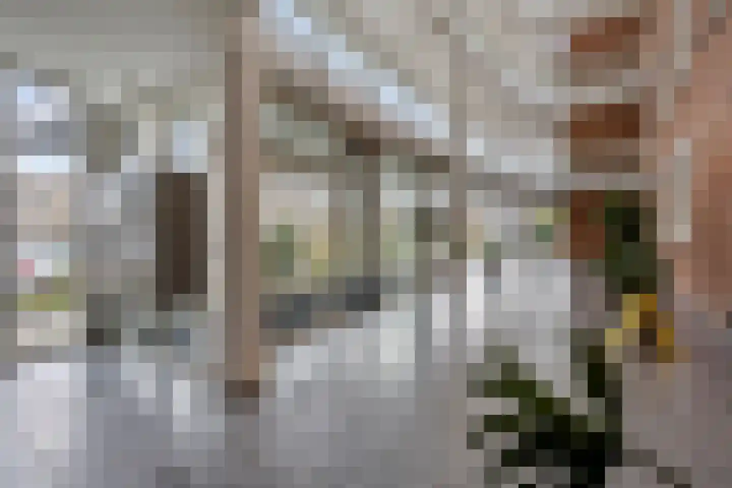 Bram Limburgstraat 136 Voorschoten thumbnail 39