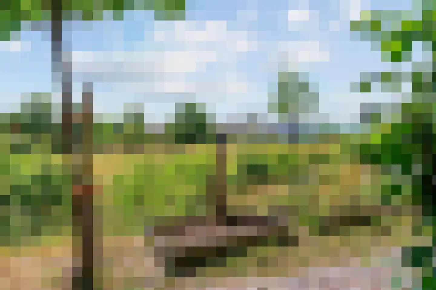 Bram Streeflandweg 48 Renkum thumbnail 24