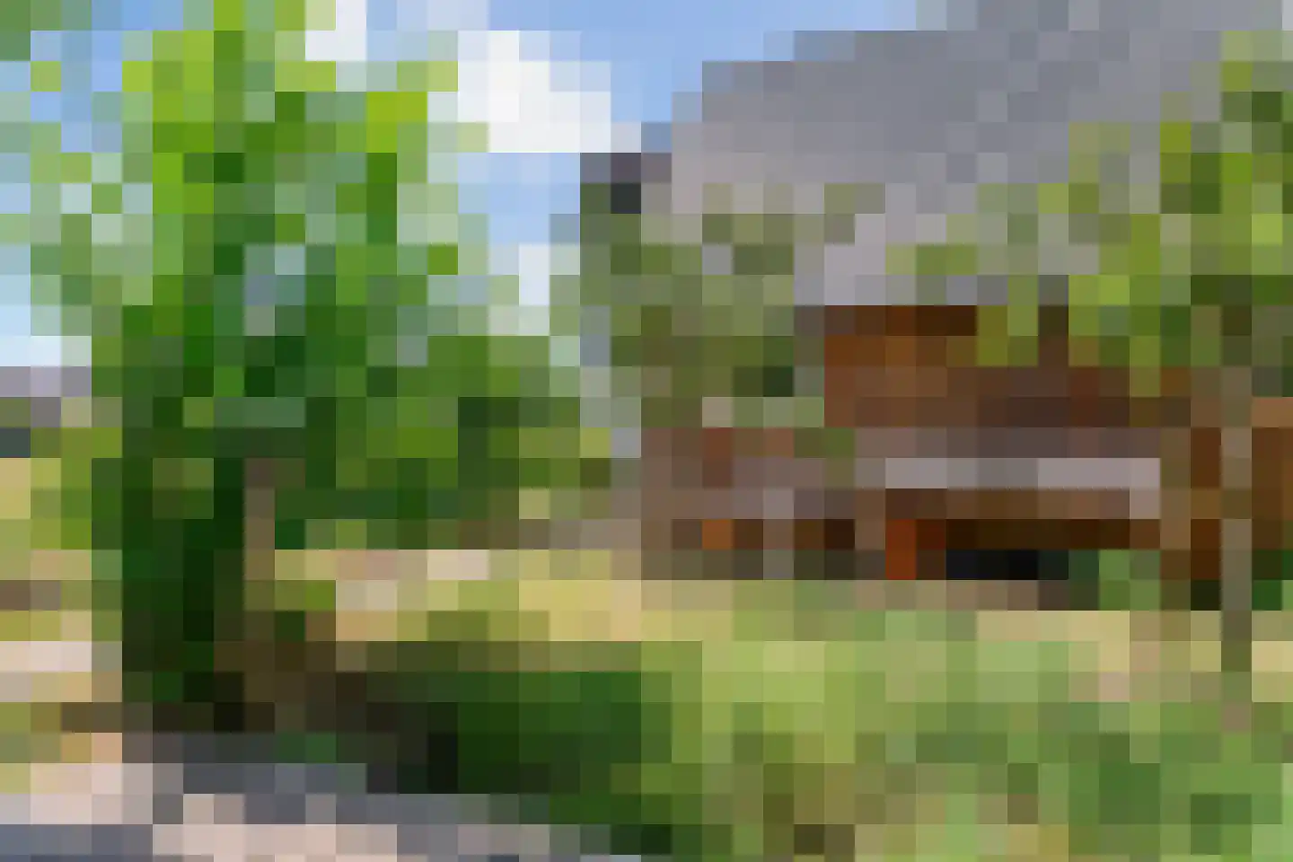 Bram Streeflandweg 48 Renkum thumbnail 28