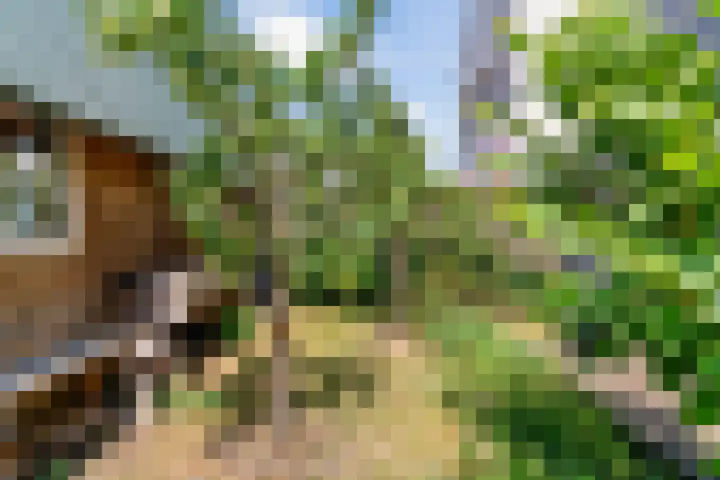 Bram Streeflandweg 48 Renkum thumbnail 32