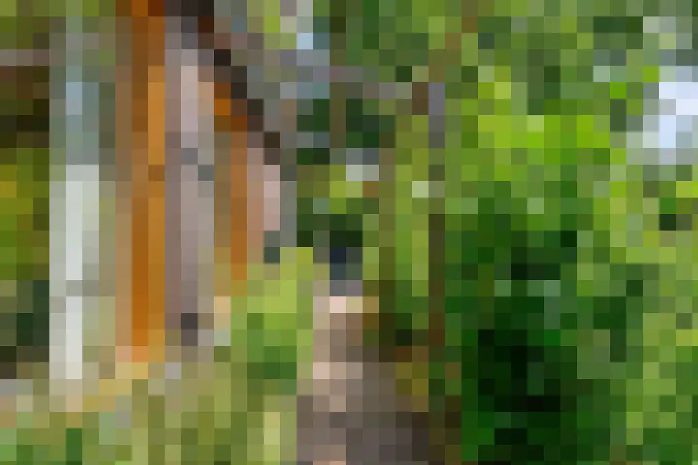 Bram Streeflandweg 48 Renkum thumbnail 36