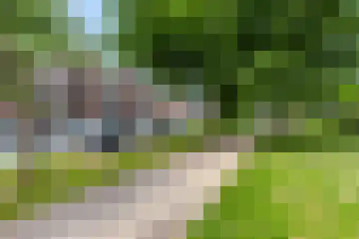 Bram van den Berghstraat 67 Oss thumbnail 32